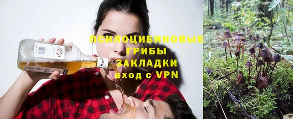 герыч Верхний Тагил