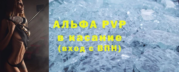 мяу мяу мука Тайга