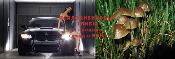 первитин Верея