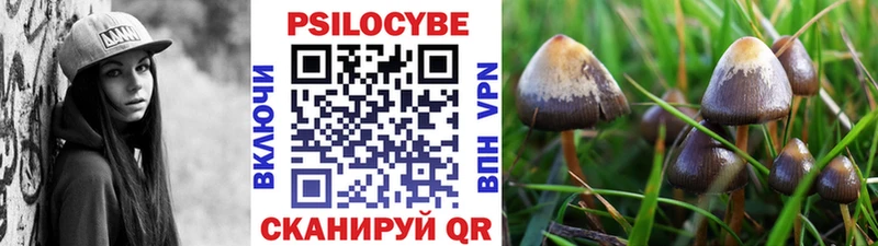 Псилоцибиновые грибы Psilocybine cubensis  Киренск 